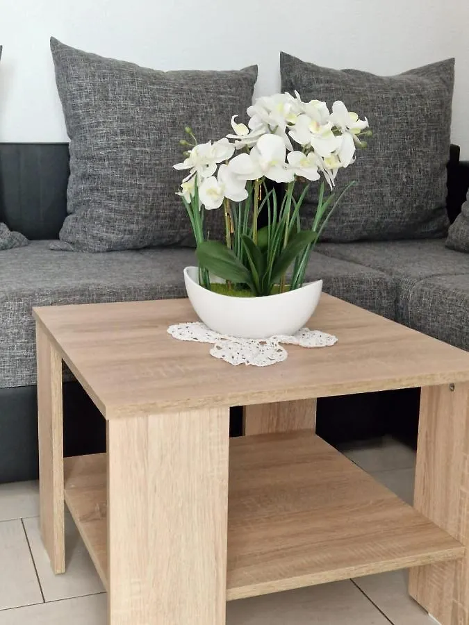 Apartment Vilic Pola Croazia